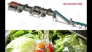 Easy Cleaning 0peration Vegetable Processing Line With Washing Drying Cutting Machine