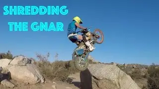 Shredding the Gnar