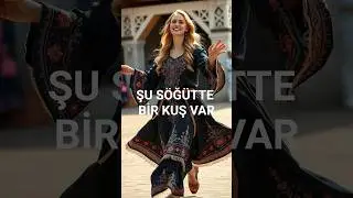 Şu S&ouml;ğ&uuml;tte Bir Kuş Var Anatolian Folk Cover