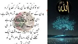Rumi Quotes Urdu   Hikmat Ki Batain   Motivational Quotes About Life Urdu#tottkywithamber