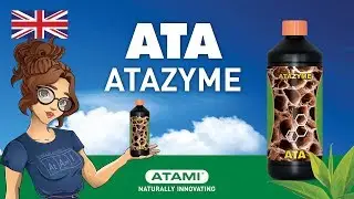 ATA ATAzyme | (Animation EN)