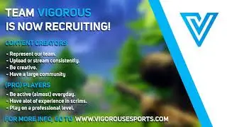 Team Vigorous Recruiting | PC, PS4, XBOX | Fortnite Team Recruiting