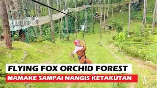 FLYING FOX ORCHID FOREST CIKOLE LEMBANG BANDUNG