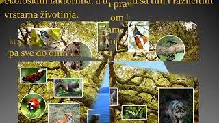 BIOLOGIJA - I razred -Biocenoza