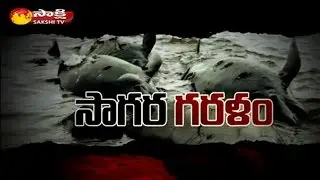 Drought to The Protection of Aquatic Life || Sakshi Magazine Story