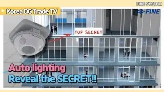 [FINESYSTEM] Auto lighting | Reveal the SECRET!