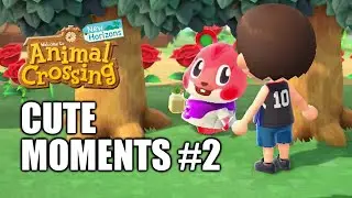 Cute Moments #2 / Animal Crossing: New Horizons