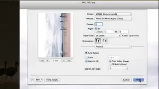 How to Print on Glossy Paper : Photographer Tips