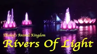 River of Light| डिज्नी के अनोखे शो का |Disney Animal Kingdom 2019 |