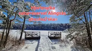 Walking in a snow forest - Winter walk in Sweden Hjortmarka i Vintertid เดินเล่นในป่า หิมะ#Alings&aring;s