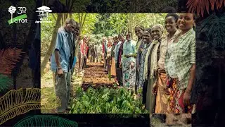 Celebrating CIFOR's 30th anniversary: Three decades of impact for trees, people and our planet