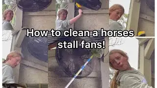 How to clean a horses stall fans!