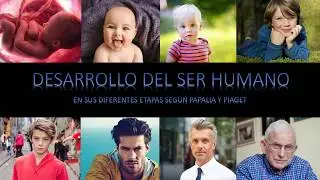 DESARROLLO DEL APRENDIZAJE EN EL SER HUMANO