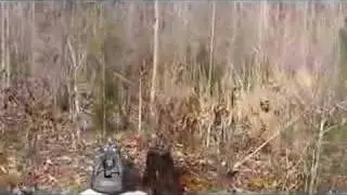 Walther P99C