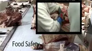 JBS VISITOR VIDEO PART 1 HD FLASH