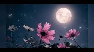 bir lider tanıdım d&uuml;nyada adı Hz Muhammed &copy;#ilahi #diniff#dinivideolar #noracism #cover