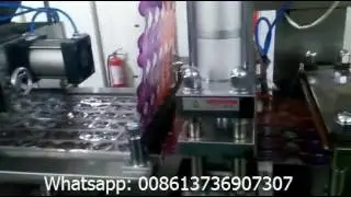 SL 420B Automatic Butterfly Shape Blister Thermoform Fill Seal Machine