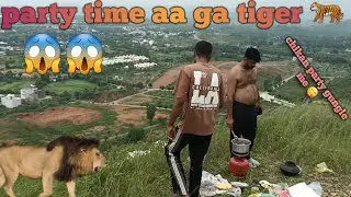 Party time aa gaya tiger 🐅 #trending #camping #traveling #tiger #youtubeshorts #instagram #vlogs 