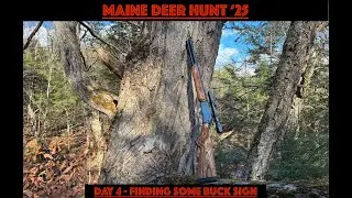 Finding Some Buck Sign! - Maine Deer Hunting 2025 - Day 4