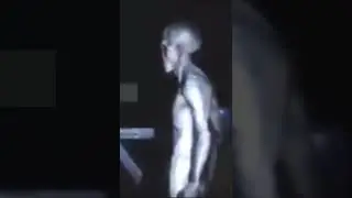 Alien Grey on Tape￼. ￼