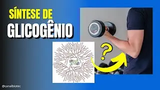 GLICOGÊNESE - Etapas e Enzimas envolvidas