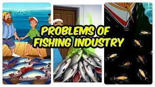 Problems for Fishing Industry In Pakistan |Digital Comic animation| Pak studies 2059