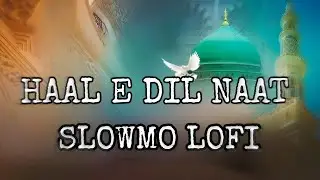 Haal E Dil Naat | Slowed Lofi remix | Heart 🎧Touching Naat❤️ | Dj Shobi official