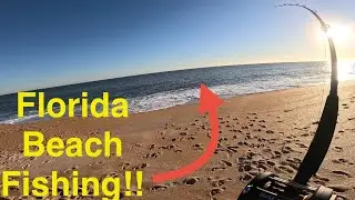 Surf Fishing for Whiting and Sharks in Flagler Beach, Florida!!