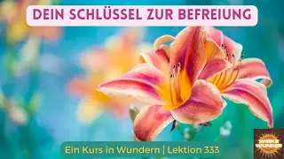 💖 Lektion 333 - Die Vergebung macht dem Traum des Konfliktes hier ein Ende. | Ein Kurs in Wundern