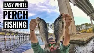 EASY Fall Fishing for WHITE PERCH! - Elizabeth river
