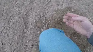 2018 first tillage