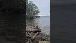 The Beach On Mayne Island B.C Canada