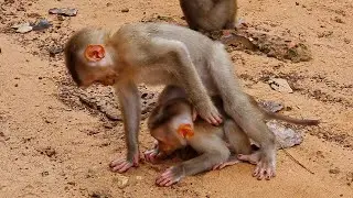 Babies Jacee and Lily hug each other, shivering in the hot day​ and hungry