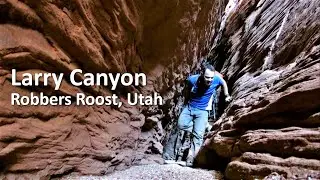 Larry Canyon, Robbers Roost, Utah