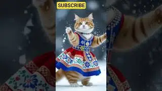 a cute cat doing jokul dance wearing a stylish dress made by Google, looking impressive