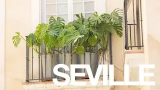 Seville (Spain) - Architecture and history shown in colors and details.