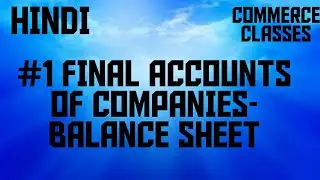 #1 Final Accounts of Companies - Balance Sheet; Company Accounts ( 1); Hindi