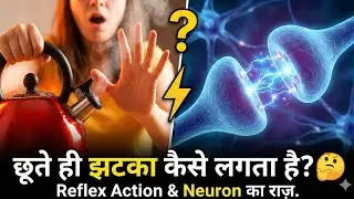Neuron (तंत्रिका कोशिका) Full Chapter in One Shot | Structure & Functions | General Science । 