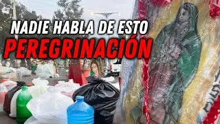 &iquest;Por qu&eacute; NADIE habla de los PERROS ABANDONADOS en la PEREGRINACI&Oacute;N de la VIRGEN de GUADALUPE?