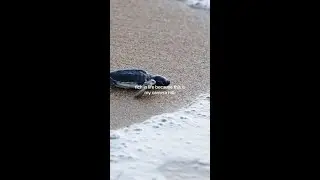 Rich in Life Because of The Ocean
