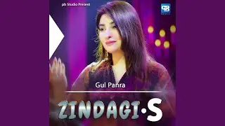 Zindagi.S