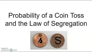 Probability and Actual Ratios Lab Intro