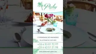 PALM RESTAURANT - SPOT PREMIUM