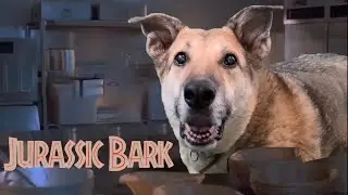 Jurassic Bark -- starring Hunny the Dog