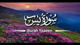 Surah Yaseen سورة يس | Soothing & Beautiful Recitation for Inner Peace by Alaa Aqel
