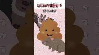 【害獣クイズ♯4】天井裏にフン？正体はいかに！？  #駆除ザウルス