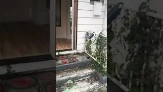 2123 11th Ave W