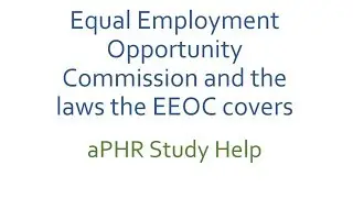 EEOC explained & the laws the EEOC covers {aPHR study help}