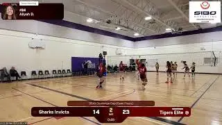 Waterloo Tigers Elite vs. London Sharks Invicta (U15G Challenge Cup Semi Finals)