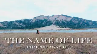 《いのちの名前/The Name of Life/神隱少女》宮崎駿動畫 久石讓 cello cover 大提琴版本 『cover by YoYo Cello』【經典動畫系列】